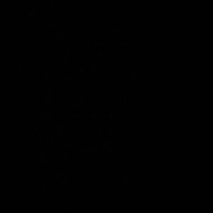 Meet your Posher, Andrea montero